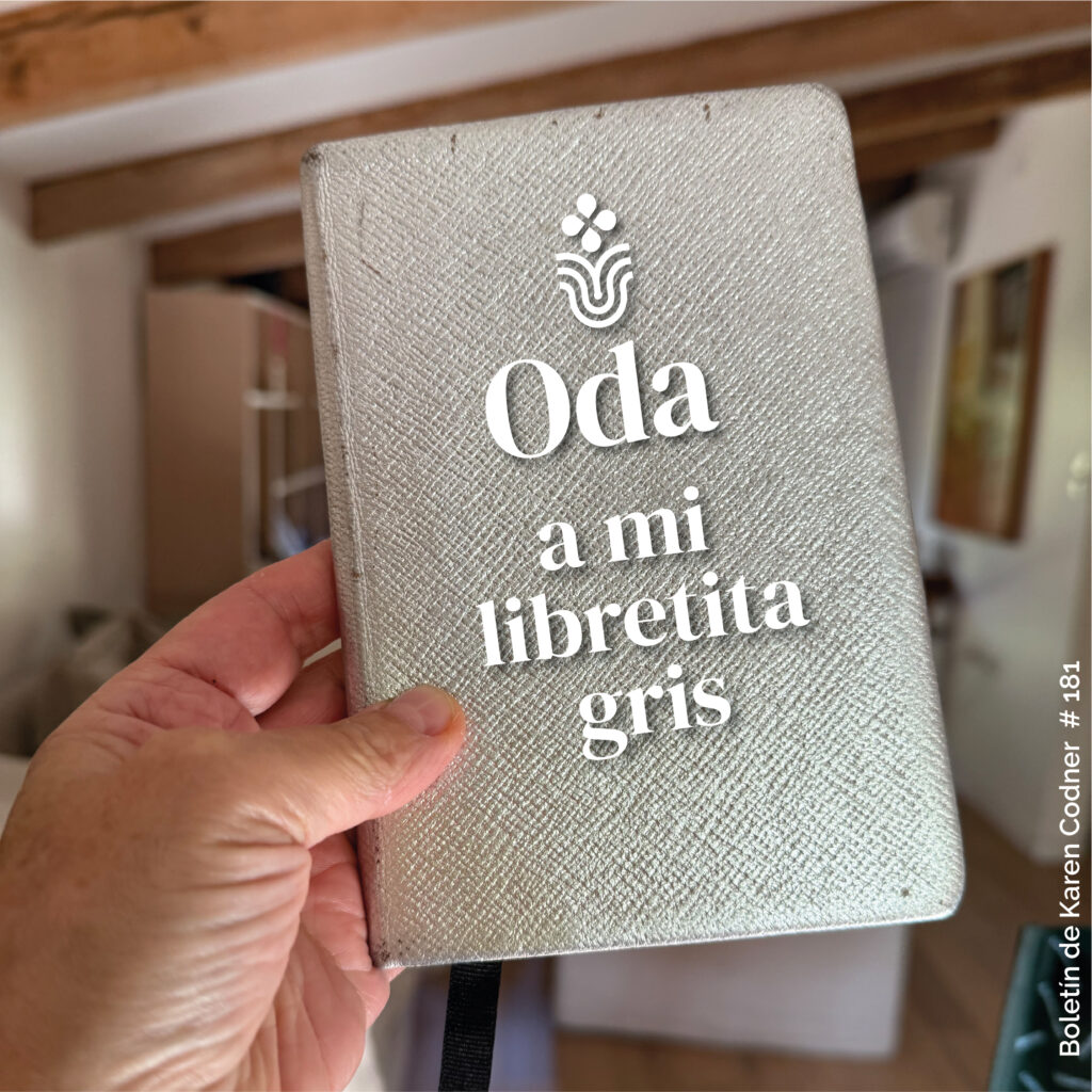 Oda a mi libreta gris #181