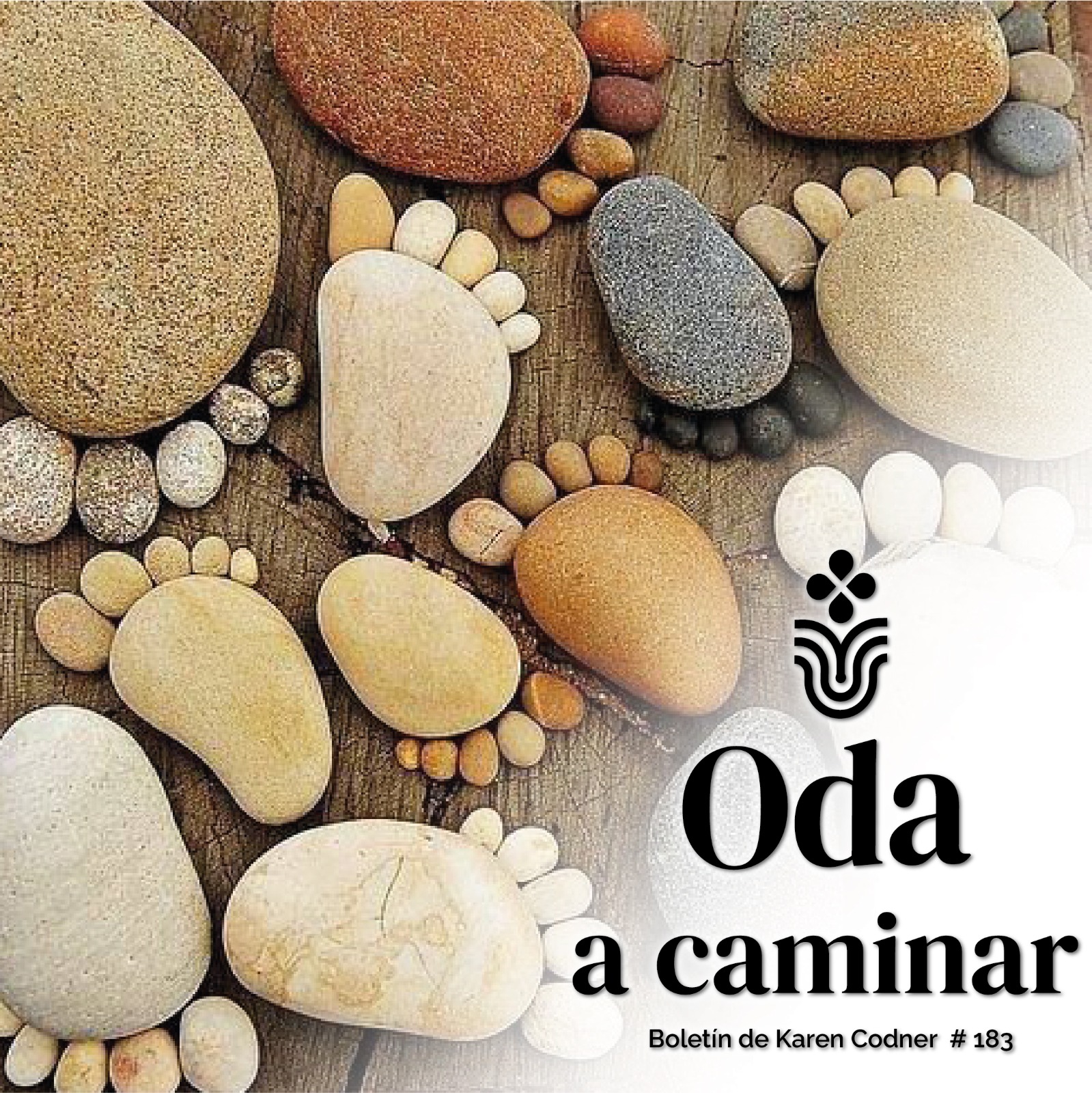 Oda a caminar #183