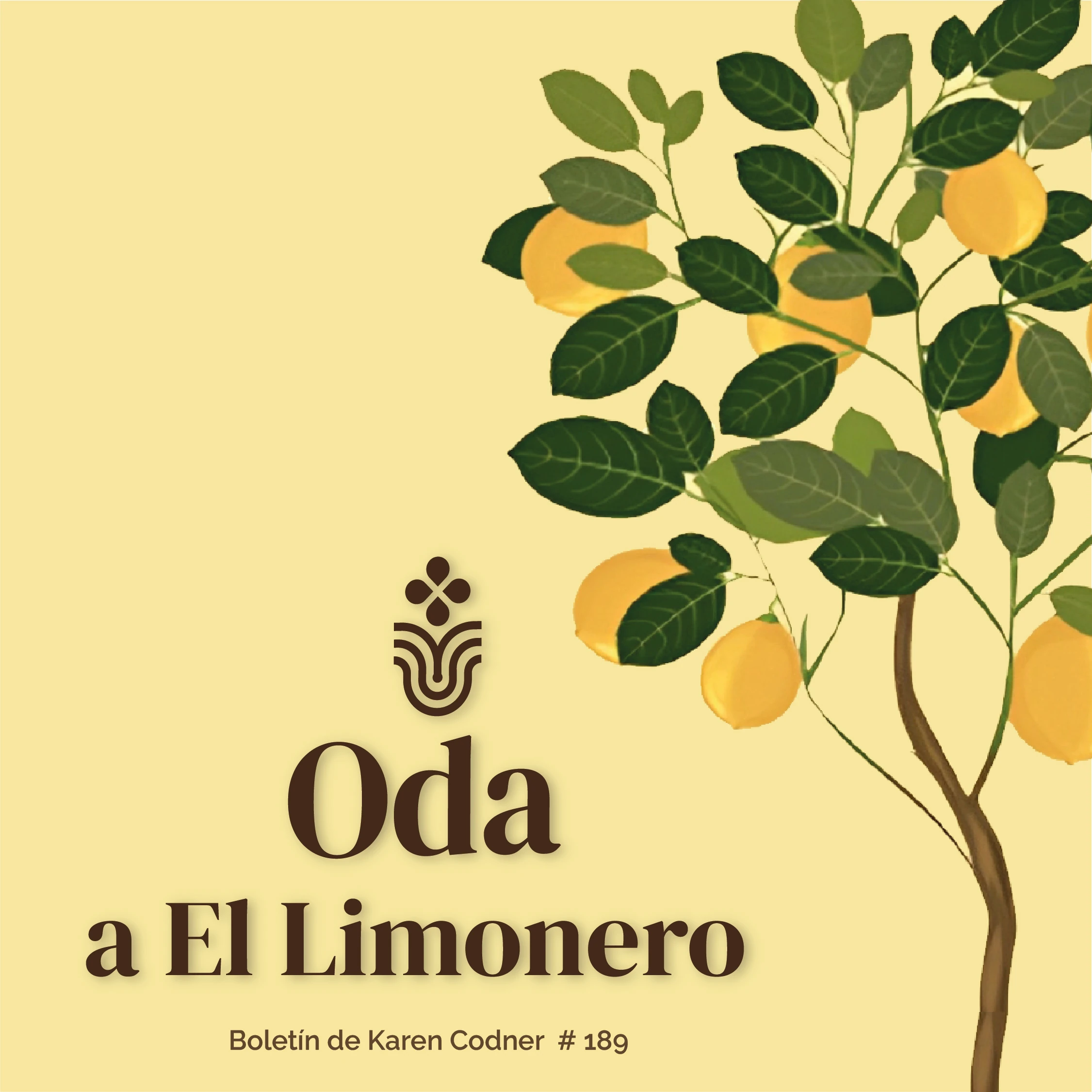 Oda B189_5 Oda B189_5
